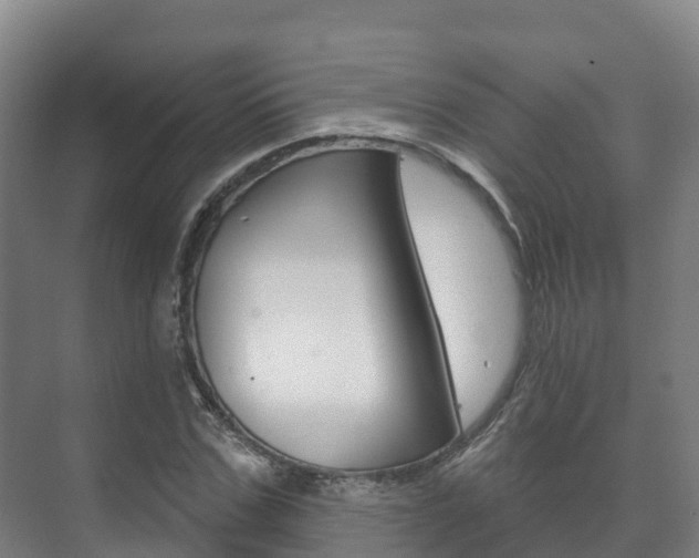 X0000073710971200608031036