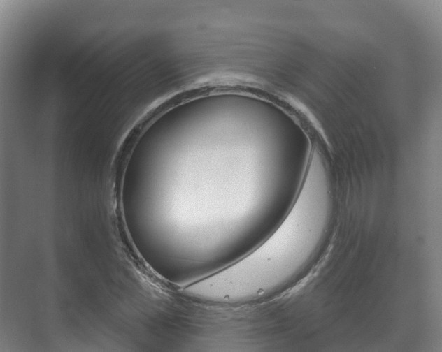 X0000073710973200608031036