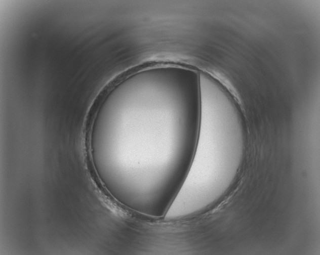 X0000073710976200608031036