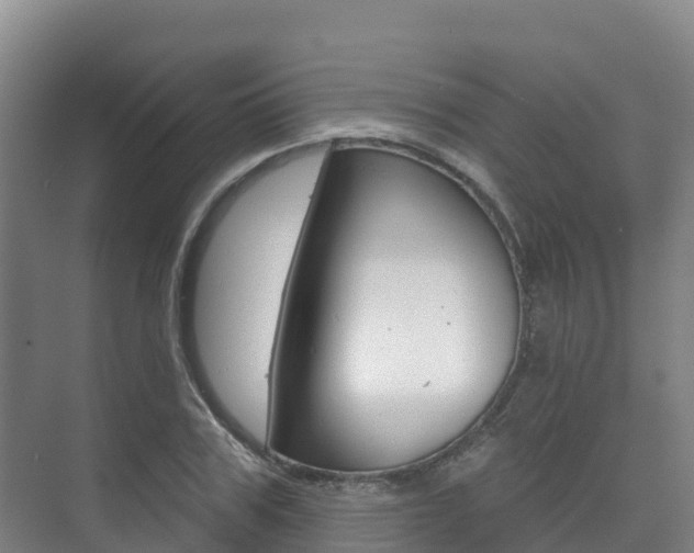 X0000073710979200608031036