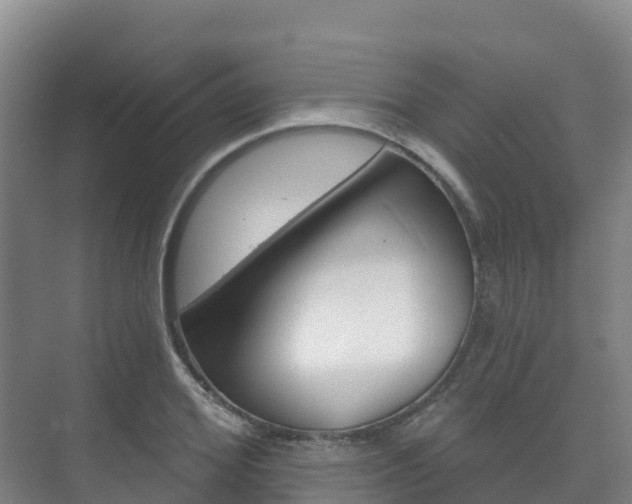 X0000073710980200608031036