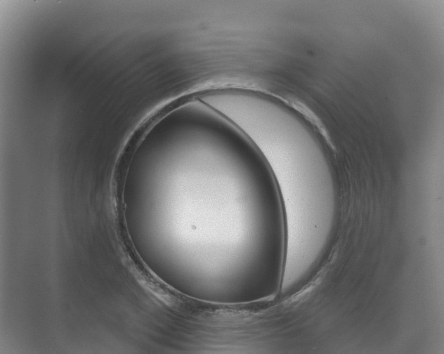 X0000073710981200608031036