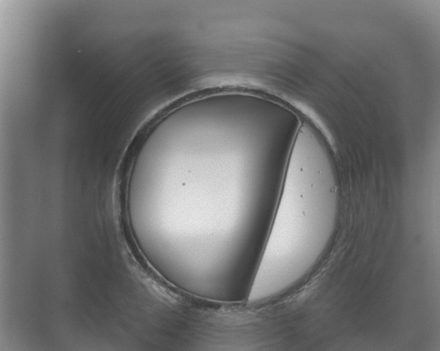 X0000073710983200608031036