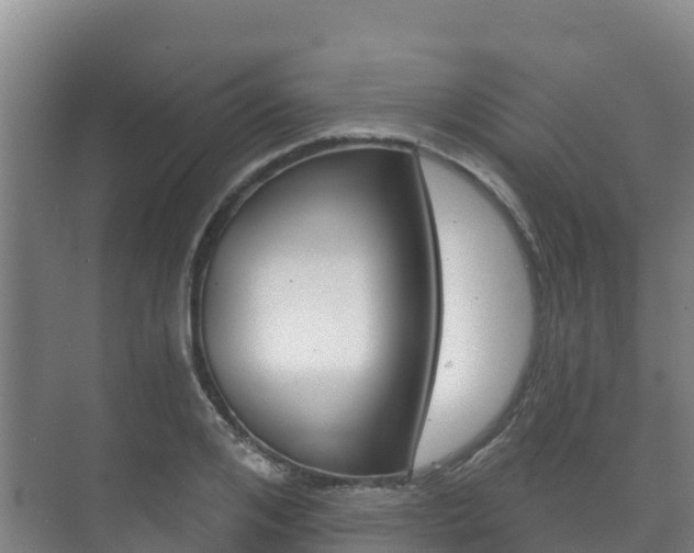 X0000073710984200608031036