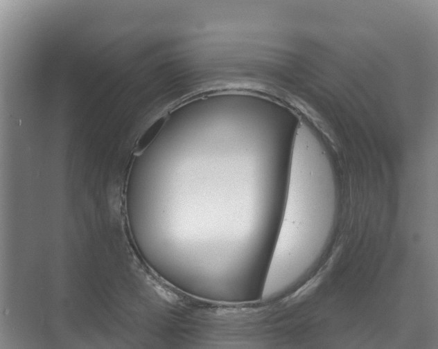 X0000073710985200608031036