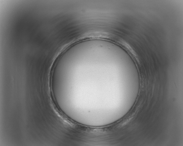 X0000073710986200608031036