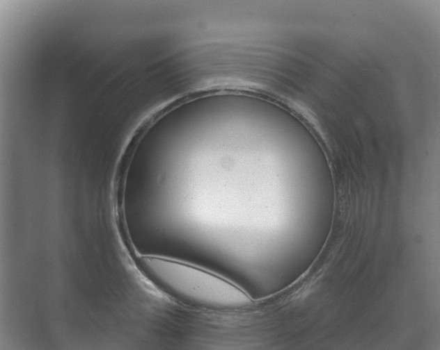 X0000073710987200608031036