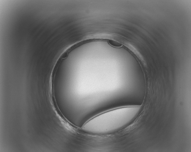 X0000073710988200608031036