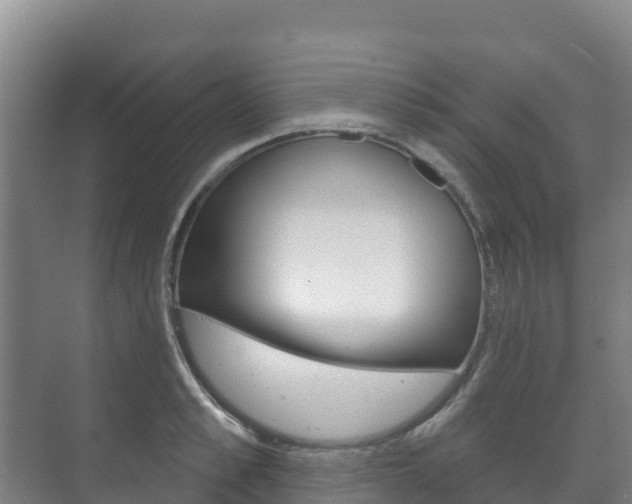 X0000073710989200608031036