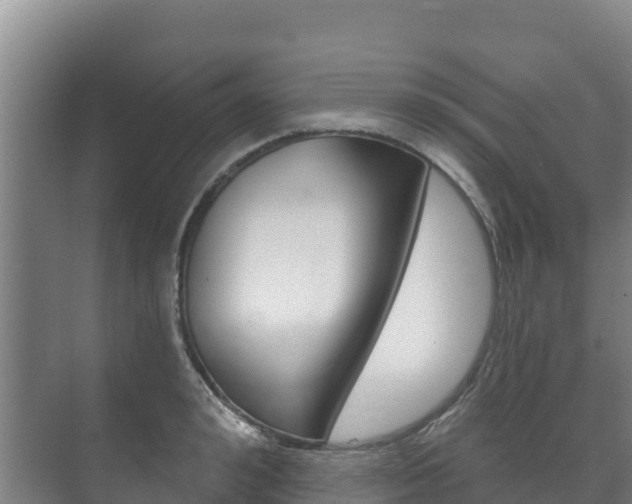 X0000073710992200608031036