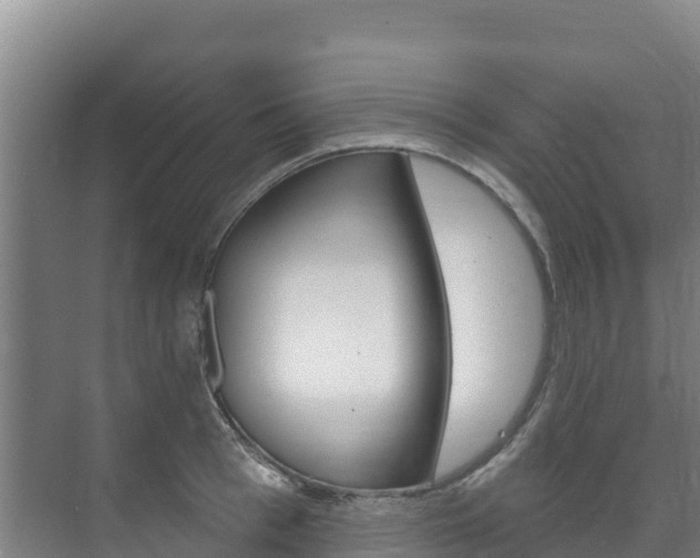 X0000073710993200608031036