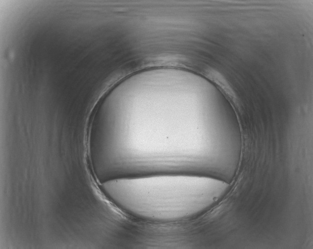 X0000073710994200608031036