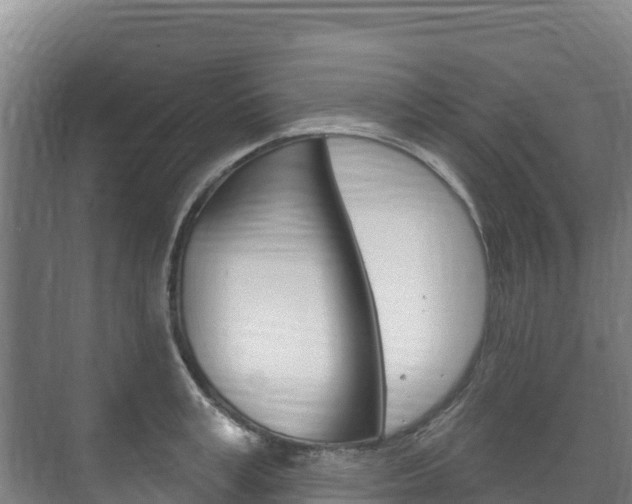 X0000073710995200608031036