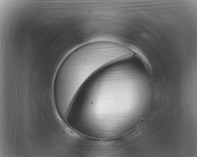 X0000073710996200608031036