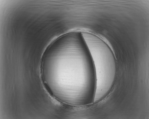 X0000073710997200608031036