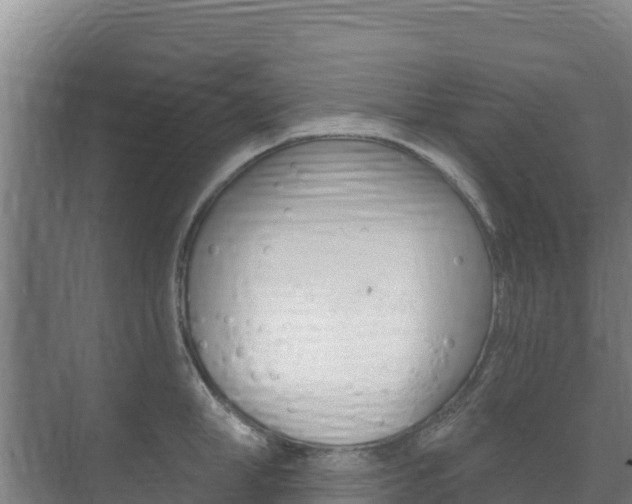 X0000073710998200608031036