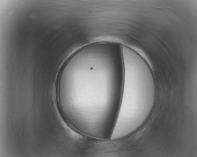 X0000073710999200608031036