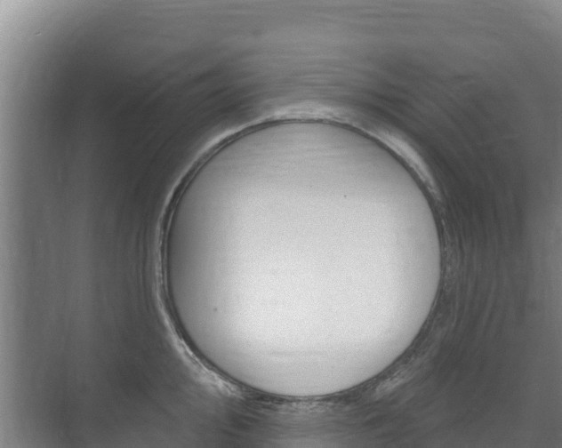 X0000073711000200608031036