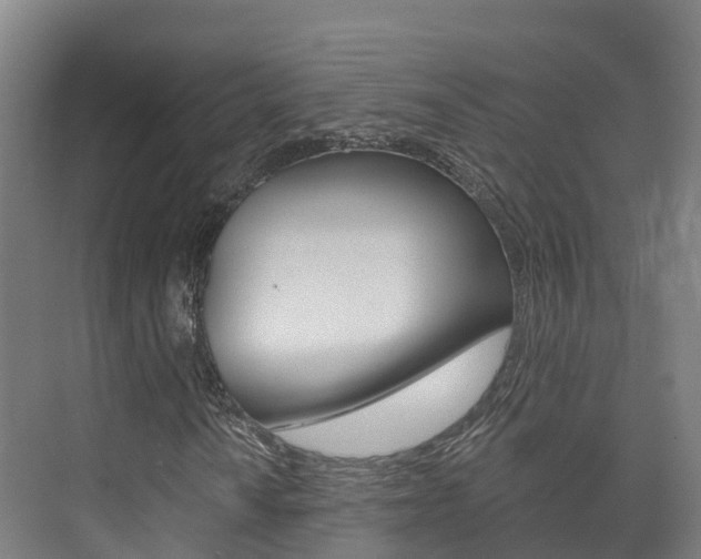 X0000073711010200608031035