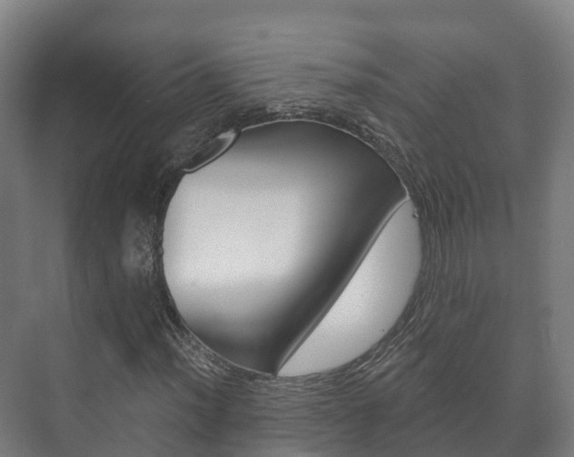 X0000073711012200608031035
