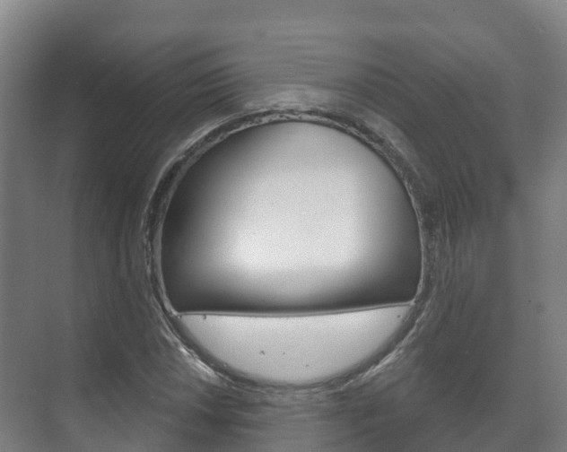 X0000073711018200608031035
