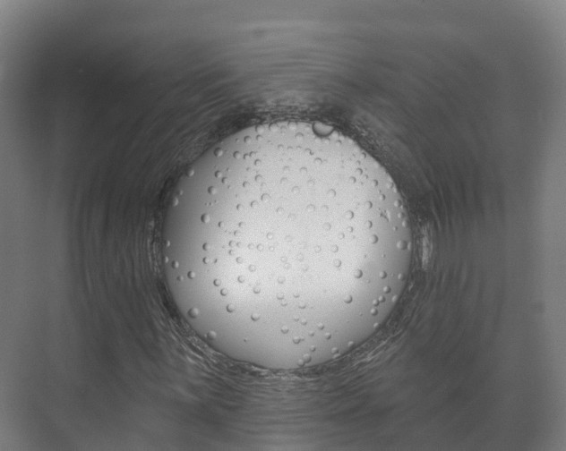 X0000073711059200608031035