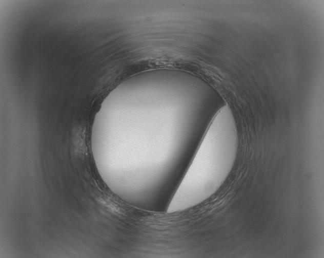 X0000073711060200608031035