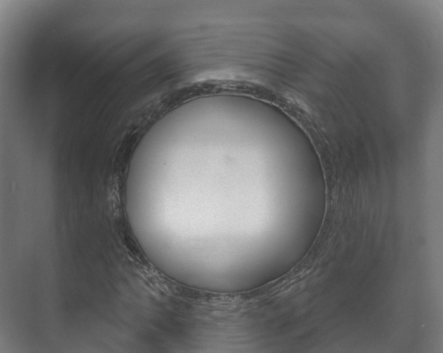 X0000073711062200608031034