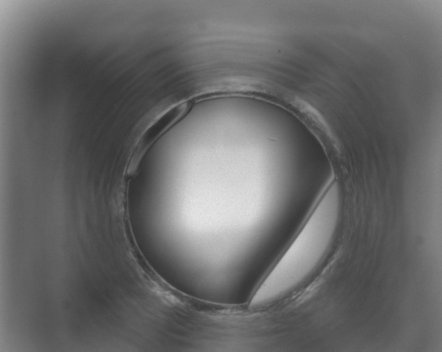 X0000073711081200608031034
