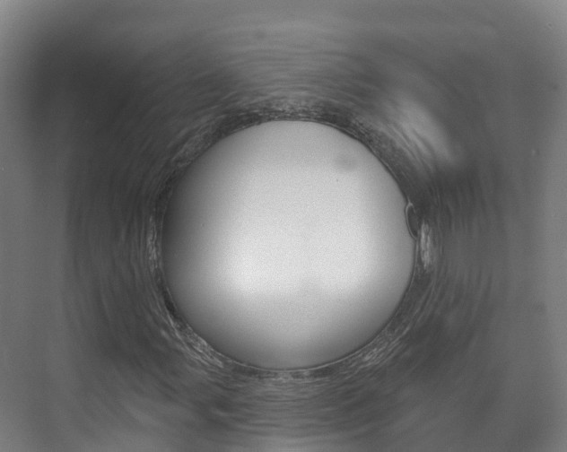 X0000073711107200608031033