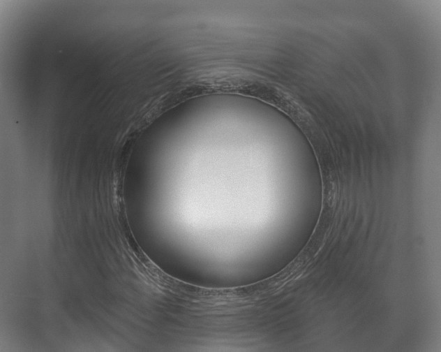 X0000073711108200608031033