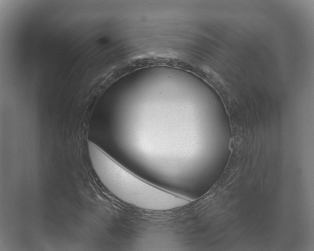 X0000073711110200608031033