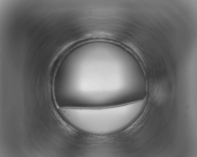 X0000073711115200608031033