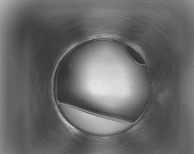 X0000073711135200608031033