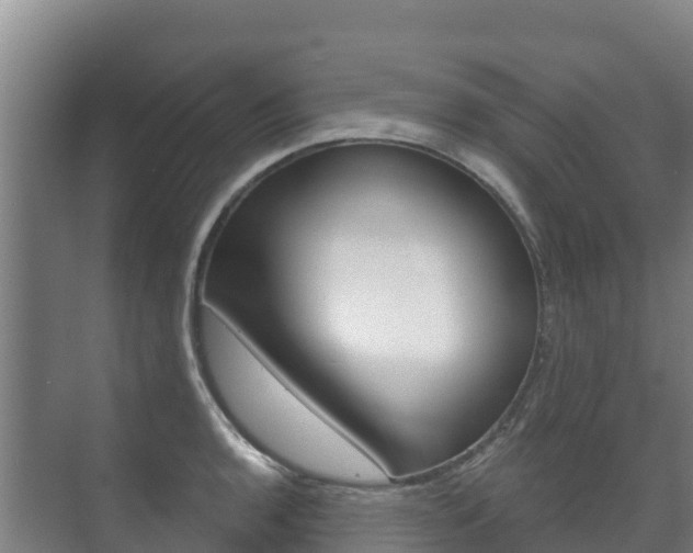 X0000073711136200608031034
