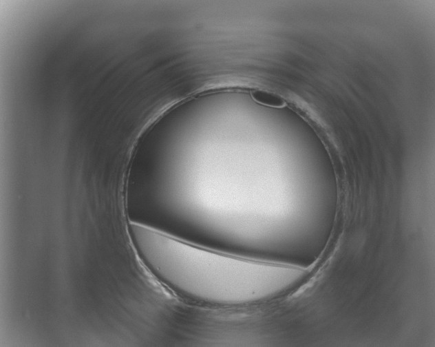 X0000073711137200608031034