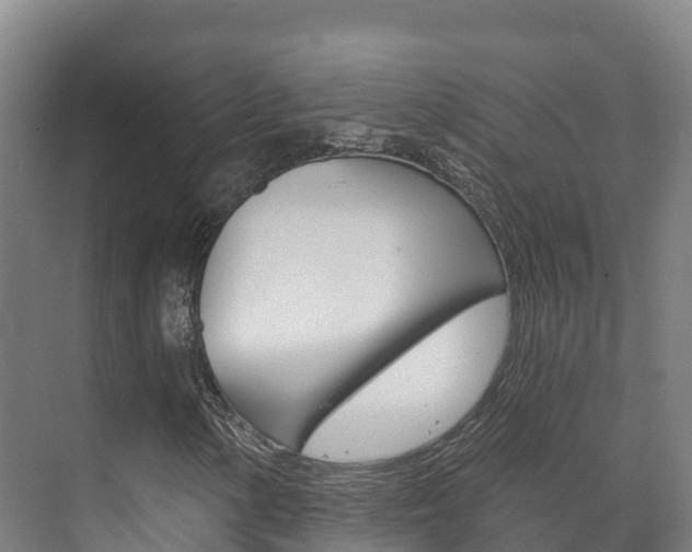 X0000073711154200608031033