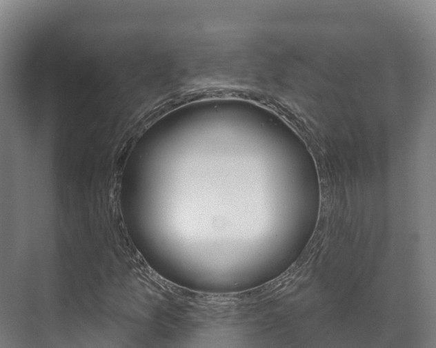 X0000073711157200608031033