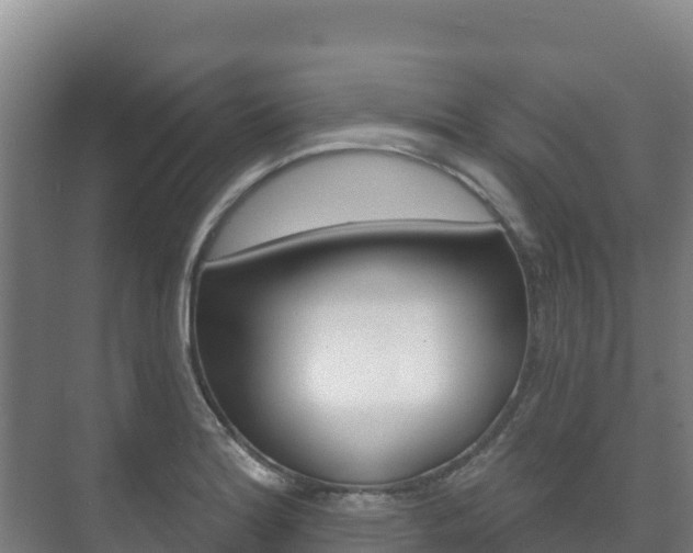 X0000073711180200608031033