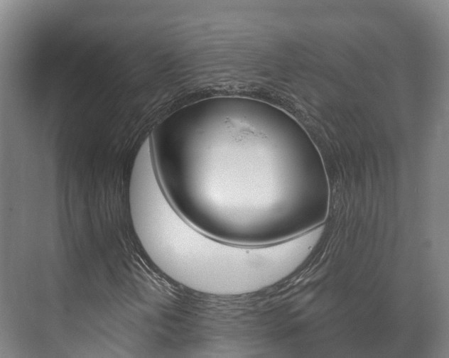 X0000073711202200608031031