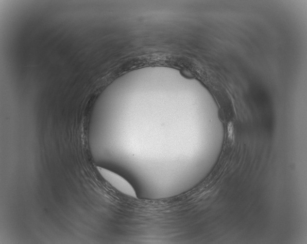 X0000073711203200608031031
