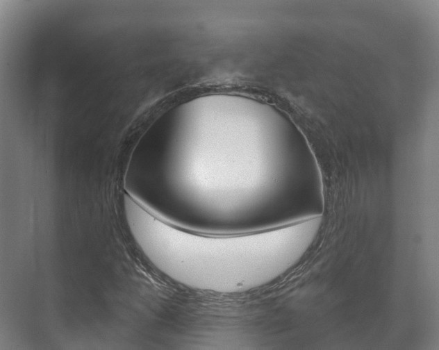 X0000073711206200608031031