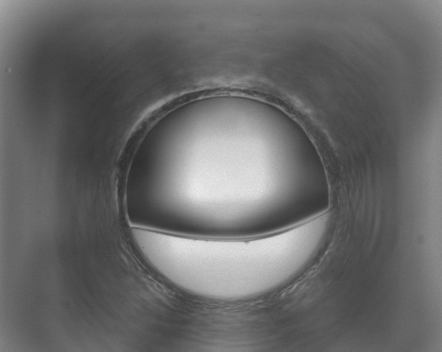 X0000073711214200608031032