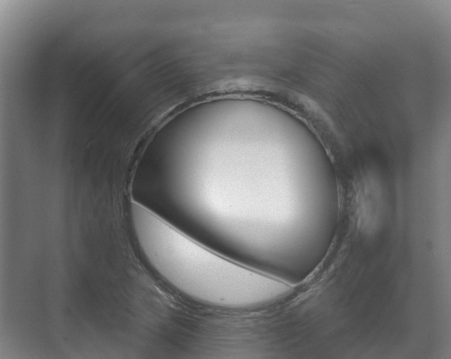 X0000073711217200608031032