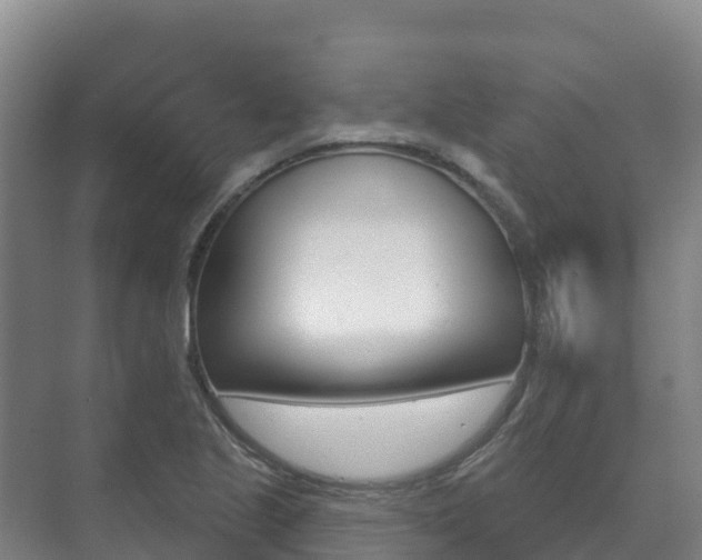 X0000073711221200608031032