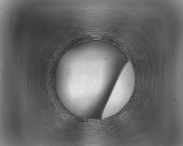 X0000073711249200608031031