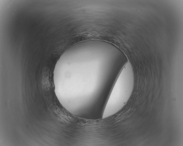 X0000073711250200608031031