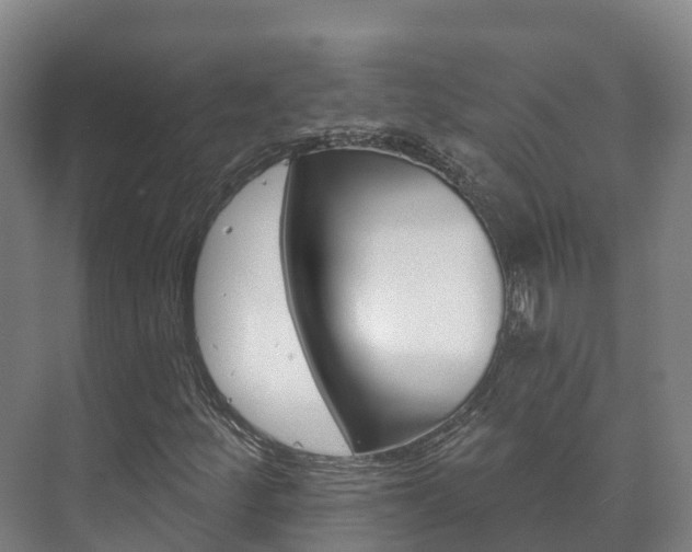 X0000073711252200608031031