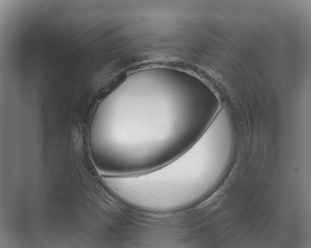 X0000073711257200608031031