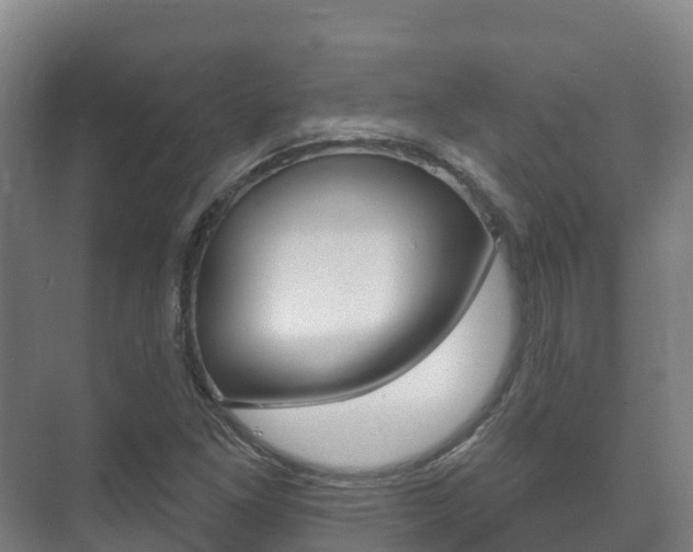 X0000073711261200608031031